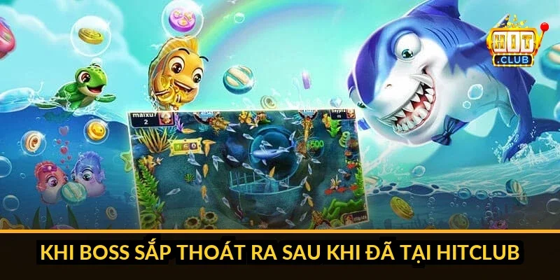 Cách Tận Dụng Vũ Khí Đặc Biệt Bom/Laze Trong Bắn Cá Hitclub Năm tình huống tối ưu sử dụng bom trong bắn cá Hitclub