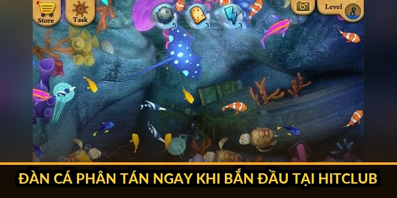 Kinh Nghiệm Bắn Cá Theo Đàn Gom Trọn Xu Không Trượt Phát Nào Ba dạng đàn cá phổ biến và chiến thuật xử lý Hitclub
