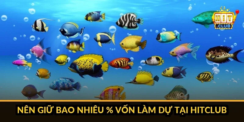 Nên Chơi Sảnh Bình Dân Hay Đại Gia Khi Bắn Cá Tại Hitclub? Bảng hỏi đáp về chọn sảnh bắn cá phù hợp Hitclub