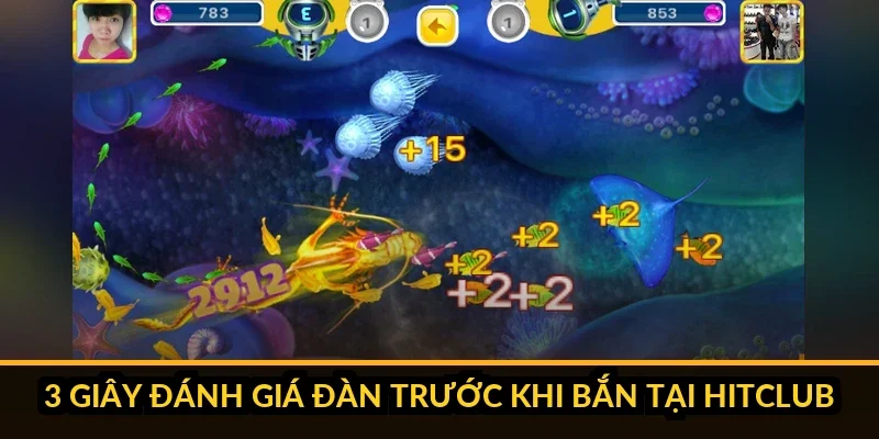 Kinh Nghiệm Bắn Cá Theo Đàn Gom Trọn Xu Không Trượt Phát Nào Checklist 3 giây đánh giá chất lượng đàn cá Hitclub
