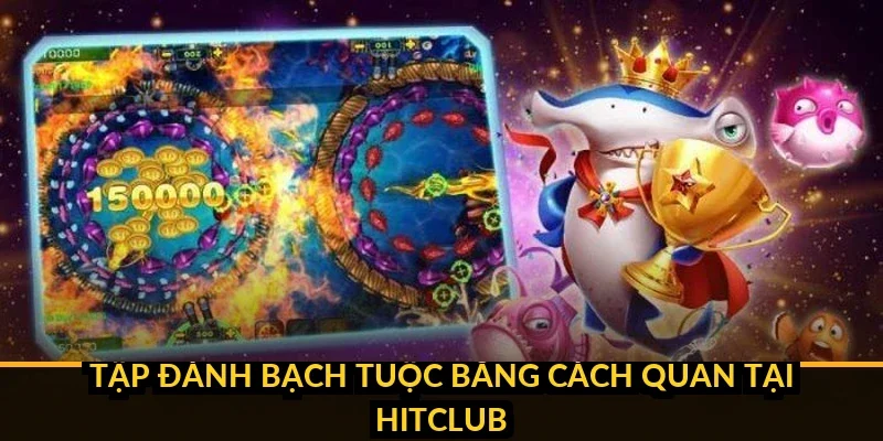 Hướng dẫn nhận biết lớp cá và vị trí xuất hiện Hitclub